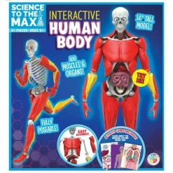 Other Science To The Max Interactive Human Body
